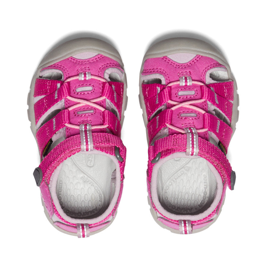 Toddlers' Seacamp II CNX | Very Berry/Dawn Pink