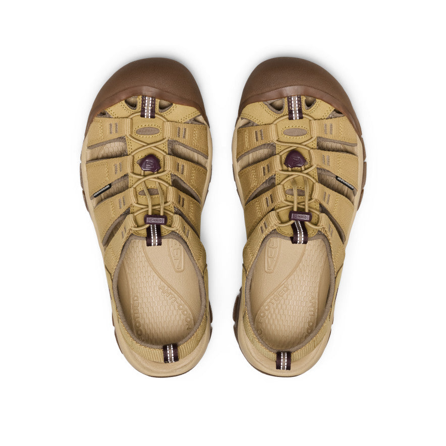 Men's Newport H2 Sandal | Mesa Glow
